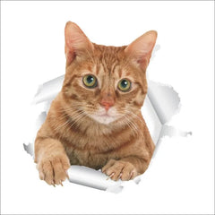 3D Effect Cats Toilet Switch Toilet Door Sticker